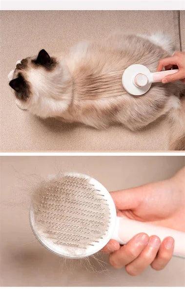 Escova Pet Removedora de Pêlos, Massageadora - CatBrush™ - lojaplanetoferta.com